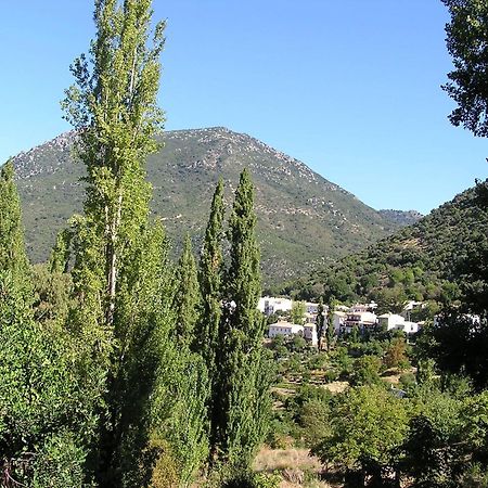 Ferienwohnung Napaimbe Sierra Benamahoma Exterior foto